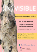 (IN)VISIBLE
